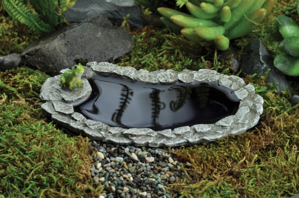 Miniature Frog Pond