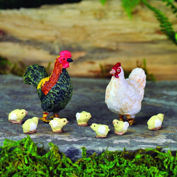 Hen & 7 Chicks (Fiddlehead)