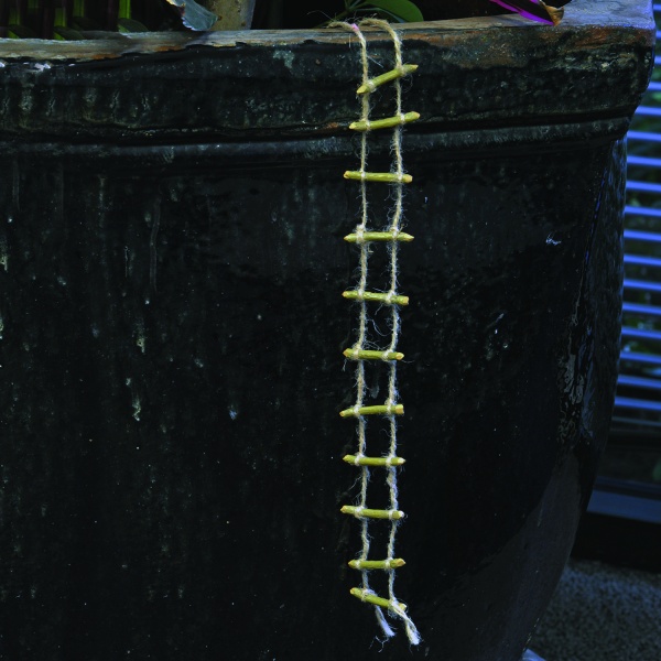 Rope Ladder (Fiddlehead)