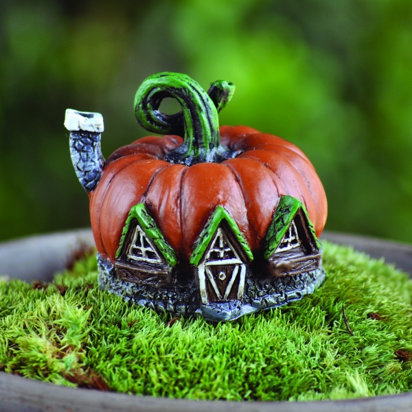 Micro Mini Pumpkin House (Fiddlehead)